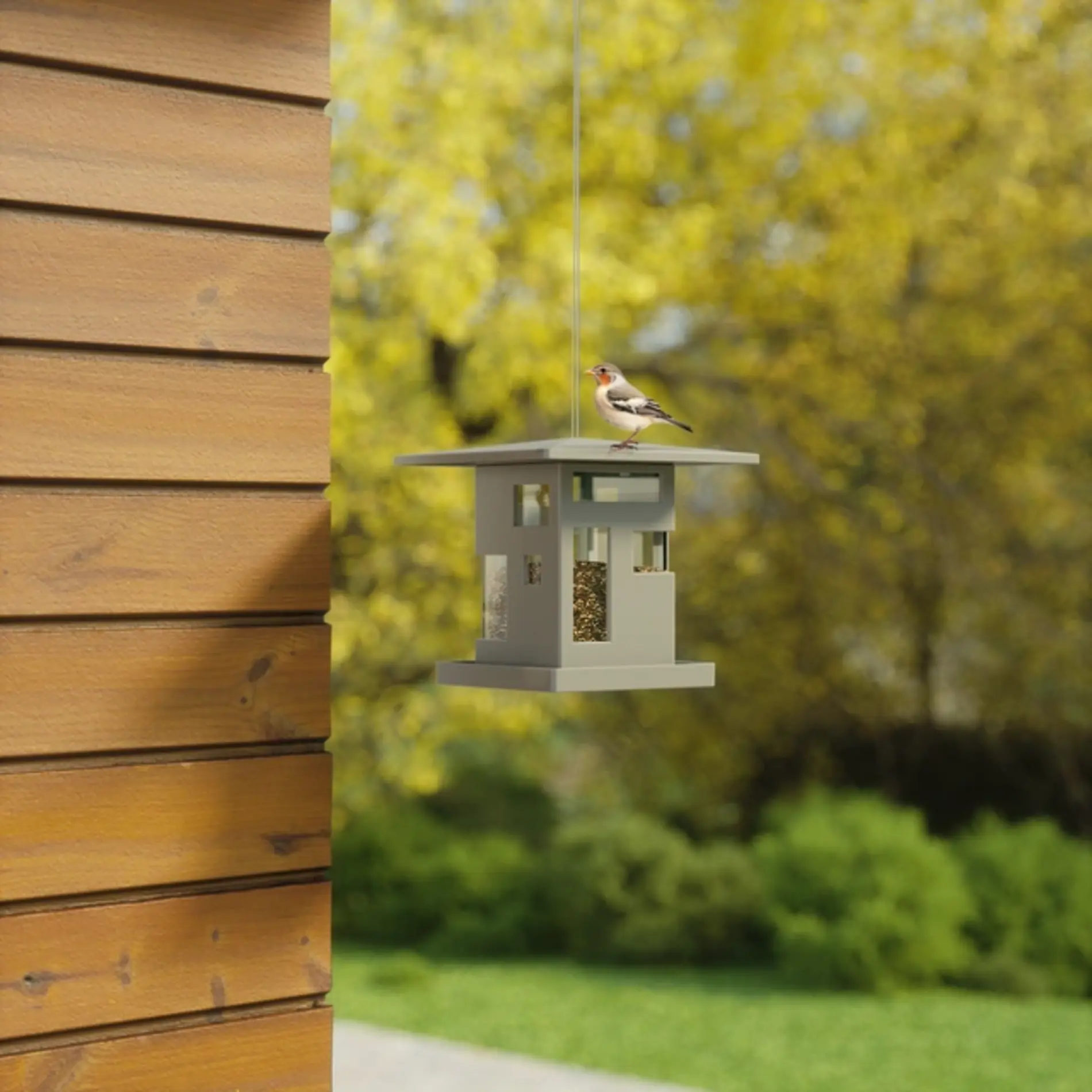 Bird Cafe - Image 3