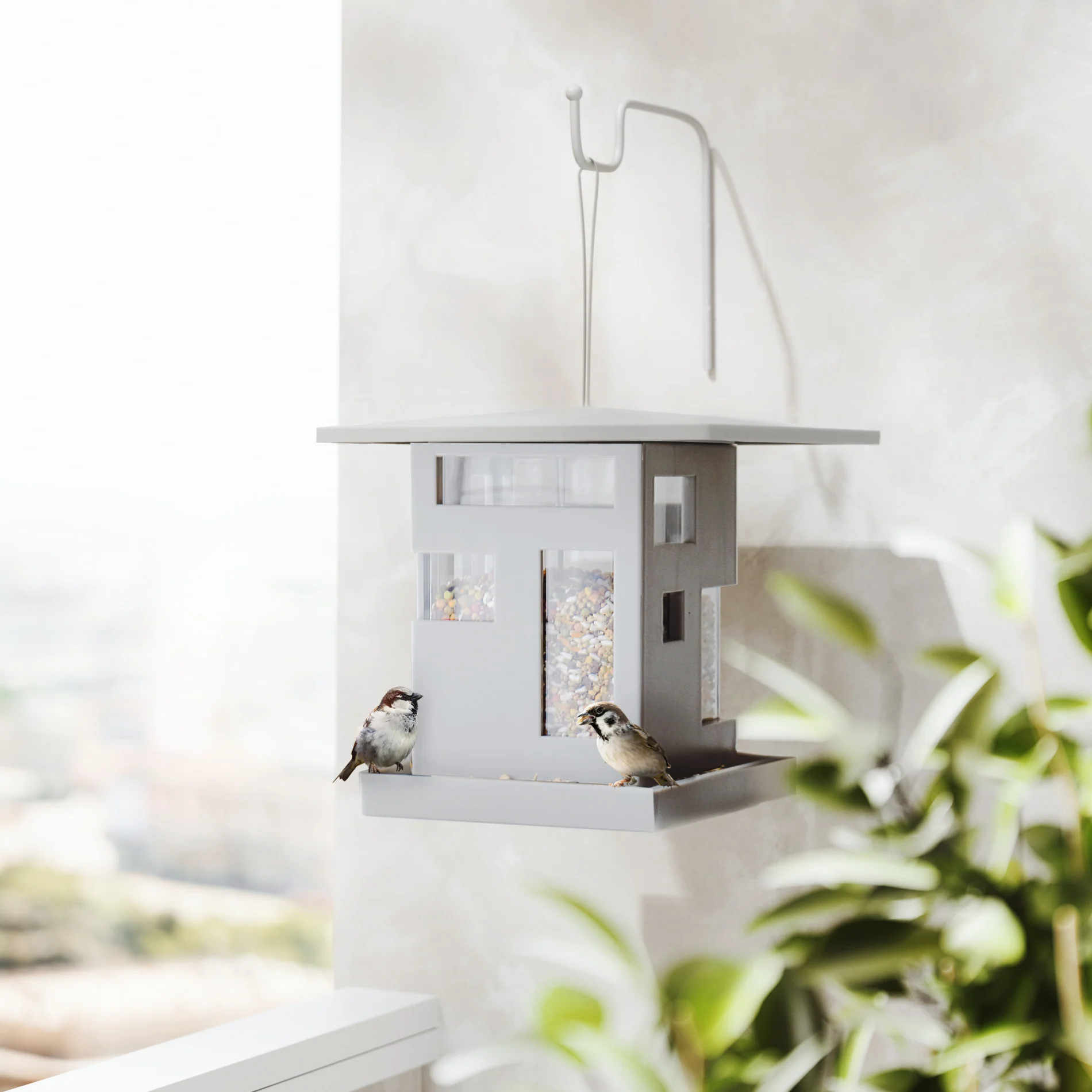 Bird Cafe - Image 5