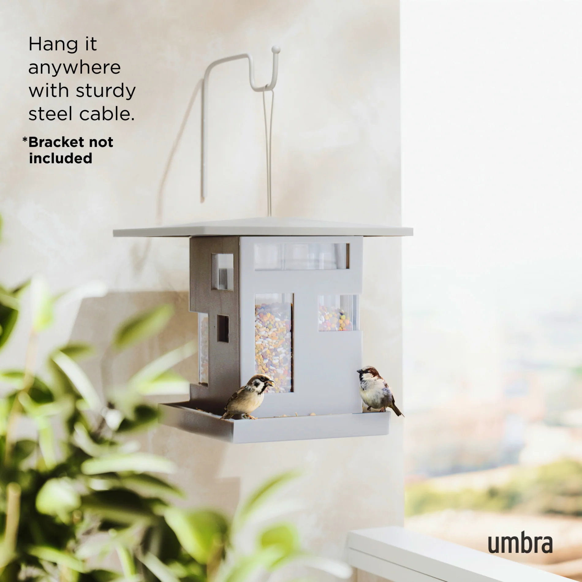 Bird Cafe - Image 8
