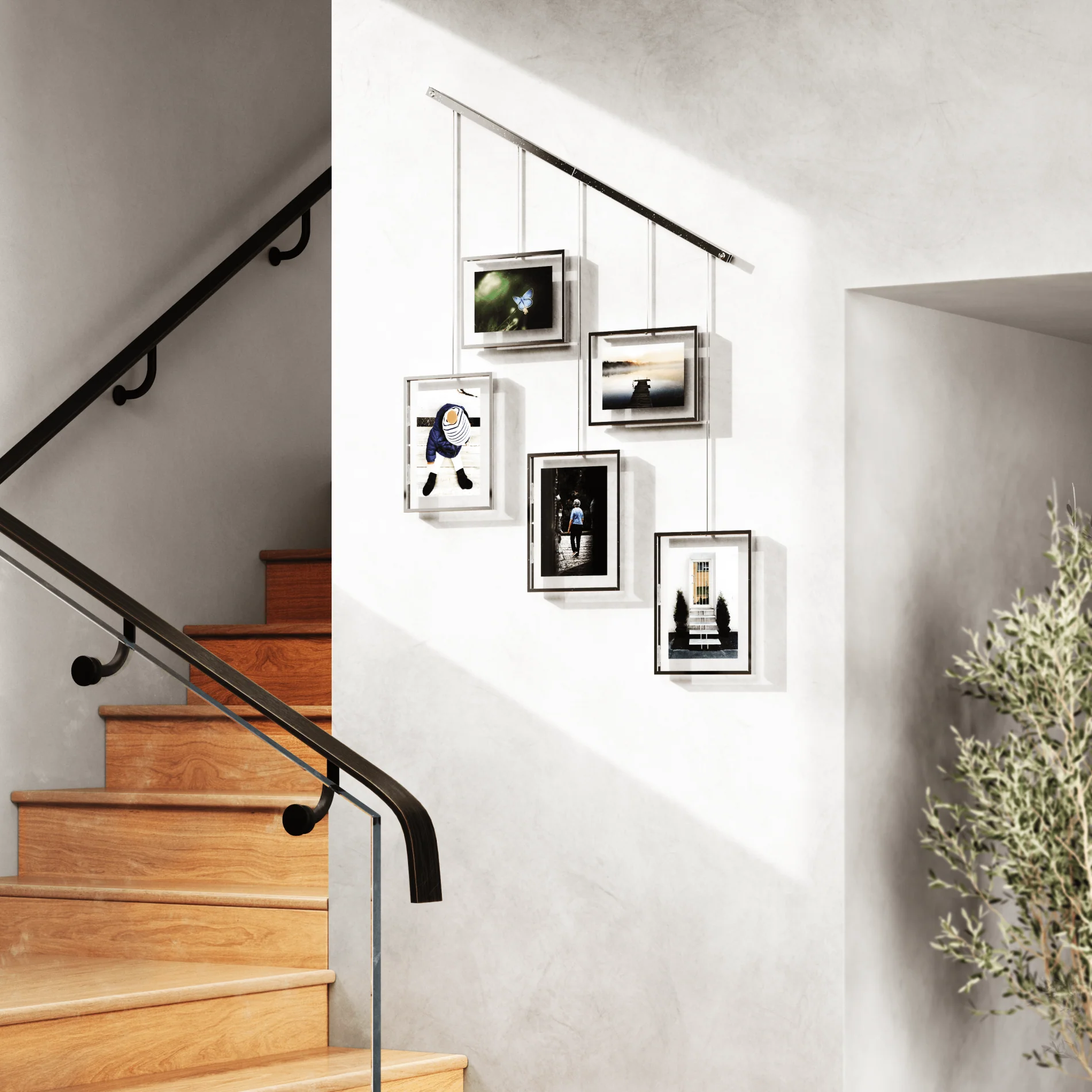 Exhibit Wall Picture Frames, Set of 5 - Image 31